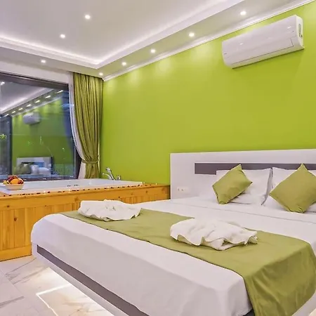 Ortac 1 Doga Icerisinde, Korunakli Вилла Каш