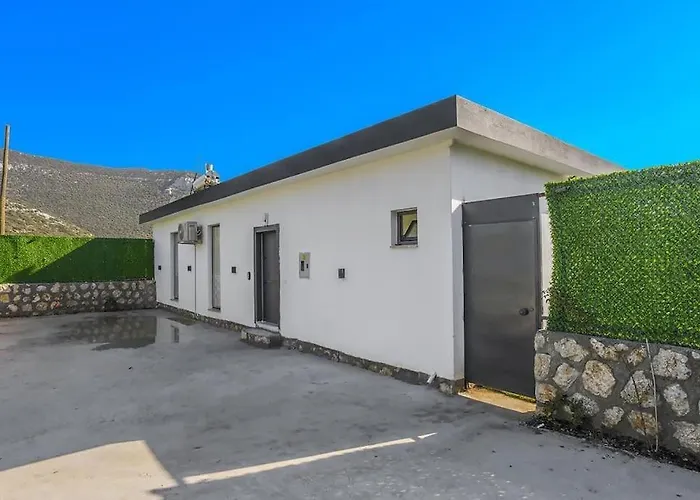 Villa Ortac 1 Doga Icerisinde, Korunakli Kas