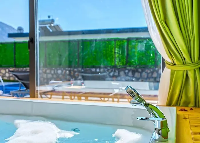 Ortac 1 Doga Icerisinde, Korunakli *