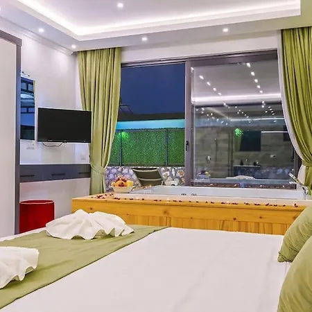 Ortac 1 Doga Icerisinde, Korunakli Vila